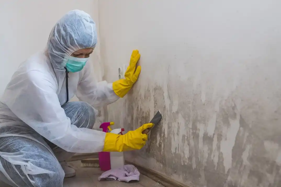 water damage restoration service Happy Valley